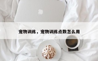 宠物训练，宠物训练点数怎么用