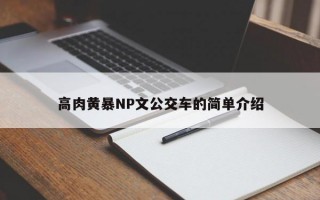 高肉黄暴NP文公交车的简单介绍