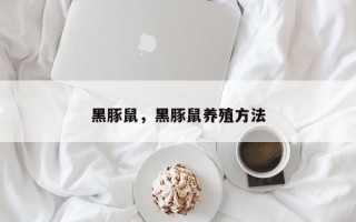 黑豚鼠，黑豚鼠养殖方法