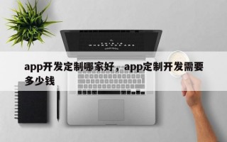 app开发定制哪家好，app定制开发需要多少钱