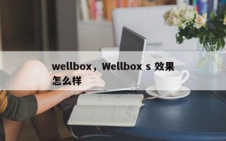 wellbox，Wellbox s 效果怎么样