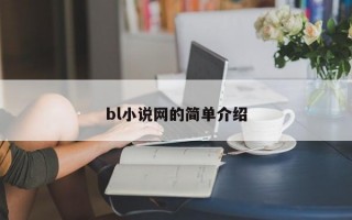 bl小说网的简单介绍