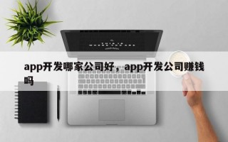 app开发哪家公司好，app开发公司赚钱吗