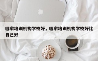 哪家培训机构学校好，哪家培训机构学校好比自己好