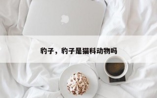 豹子，豹子是猫科动物吗