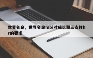 世界名企，世界名企mbi对成长期三支柱hr的要求