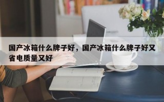 国产冰箱什么牌子好，国产冰箱什么牌子好又省电质量又好