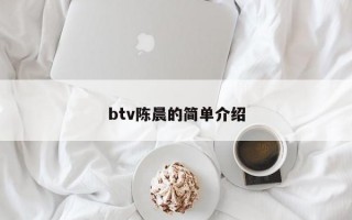 btv陈晨的简单介绍