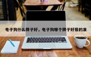 电子狗什么牌子好，电子狗哪个牌子好报的准