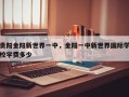 贵阳金阳新世界一中，金阳一中新世界国际学校学费多少