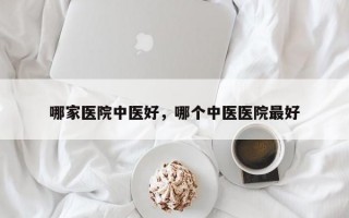 哪家医院中医好，哪个中医医院最好