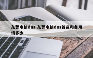 东莞电信dns-东莞电信dns首选和备用填多少