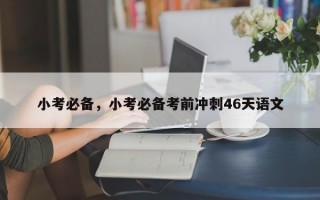 小考必备，小考必备考前冲刺46天语文