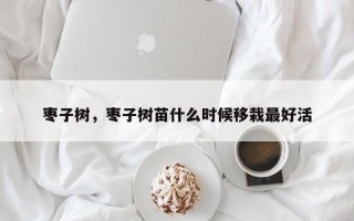 枣子树，枣子树苗什么时候移栽最好活