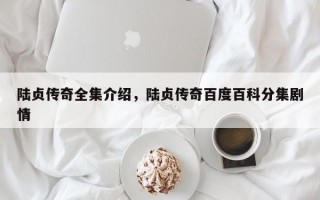 陆贞传奇全集介绍，陆贞传奇百度百科分集剧情