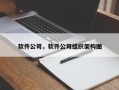 软件公司，软件公司组织架构图