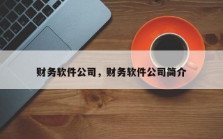 财务软件公司，财务软件公司简介