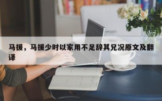 马援，马援少时以家用不足辞其兄况原文及翻译