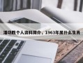 潘功胜个人资料简介，1963年属什么生肖