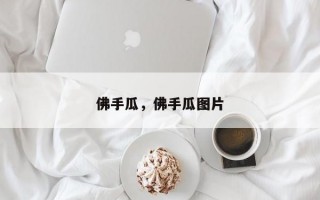 佛手瓜，佛手瓜图片