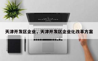 天津开发区企业，天津开发区企业化改革方案