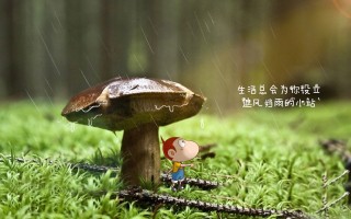 怎么快速提升QQ等级？