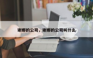 谢娜的公司，谢娜的公司叫什么