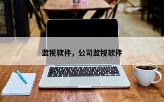 监视软件，公司监视软件