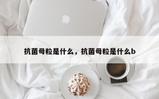 抗菌母粒是什么，抗菌母粒是什么b