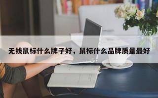 无线鼠标什么牌子好，鼠标什么品牌质量最好