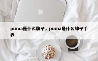 puma是什么牌子，puma是什么牌子手表