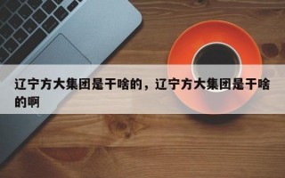 辽宁方大集团是干啥的，辽宁方大集团是干啥的啊