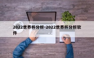 2022世界杯分析-2022世界杯分析软件