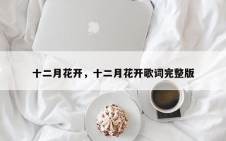 十二月花开，十二月花开歌词完整版