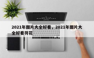 2021年图片大全好看，2021年图片大全好看荷花