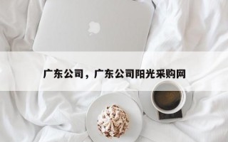 广东公司，广东公司阳光采购网