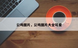 公鸡图片，公鸡图片大全可爱