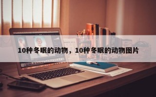 10种冬眠的动物，10种冬眠的动物图片