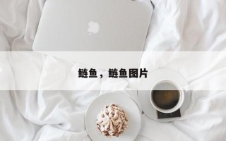 鲢鱼，鲢鱼图片