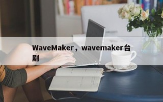 WaveMaker，wavemaker台剧