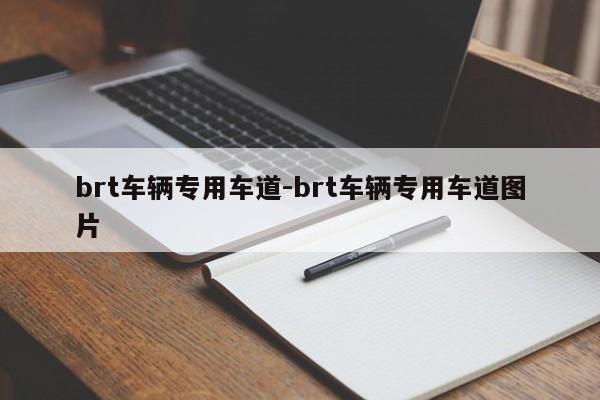 brt车辆专用车道-brt车辆专用车道图片-第1张图片