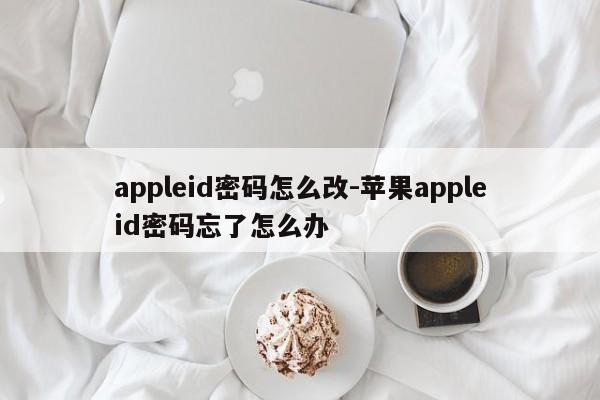 appleid密码怎么改-苹果appleid密码忘了怎么办-第1张图片