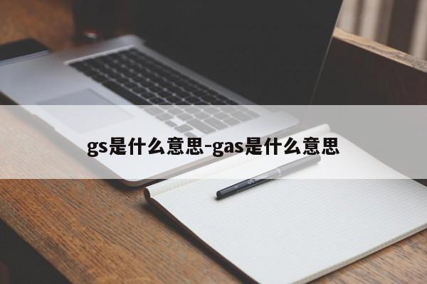 gs是什么意思-gas是什么意思-第1张图片