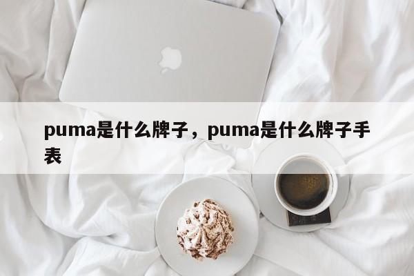 puma是什么牌子，puma是什么牌子手表-第1张图片