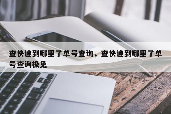 查快递到哪里了单号查询，查快递到哪里了单号查询极兔-第1张图片