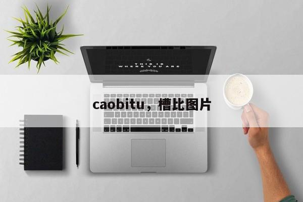 caobitu，槽比图片-第1张图片