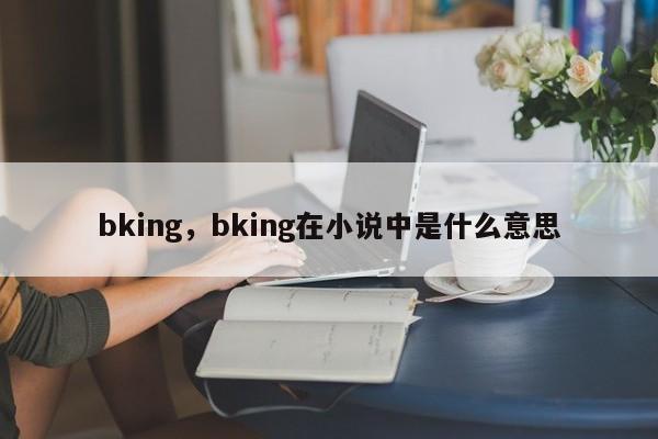 bking，bking在小说中是什么意思-第1张图片