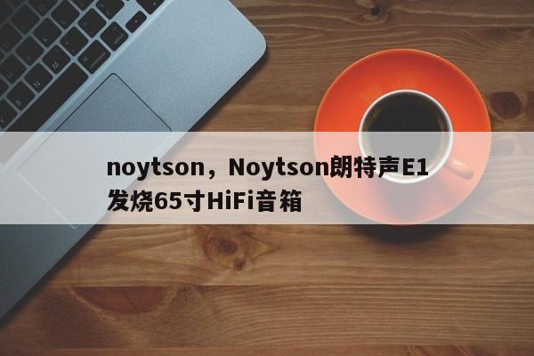 noytson，Noytson朗特声E1发烧65寸HiFi音箱-第1张图片