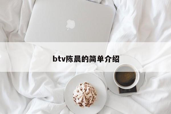 btv陈晨的简单介绍-第1张图片