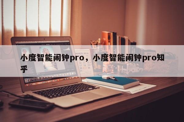 小度智能闹钟pro，小度智能闹钟pro知乎-第1张图片